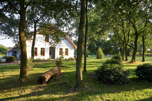 6 oaks